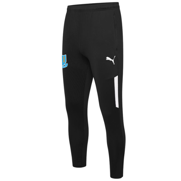 Ballymena United Puma Liga Training Pants - Youth